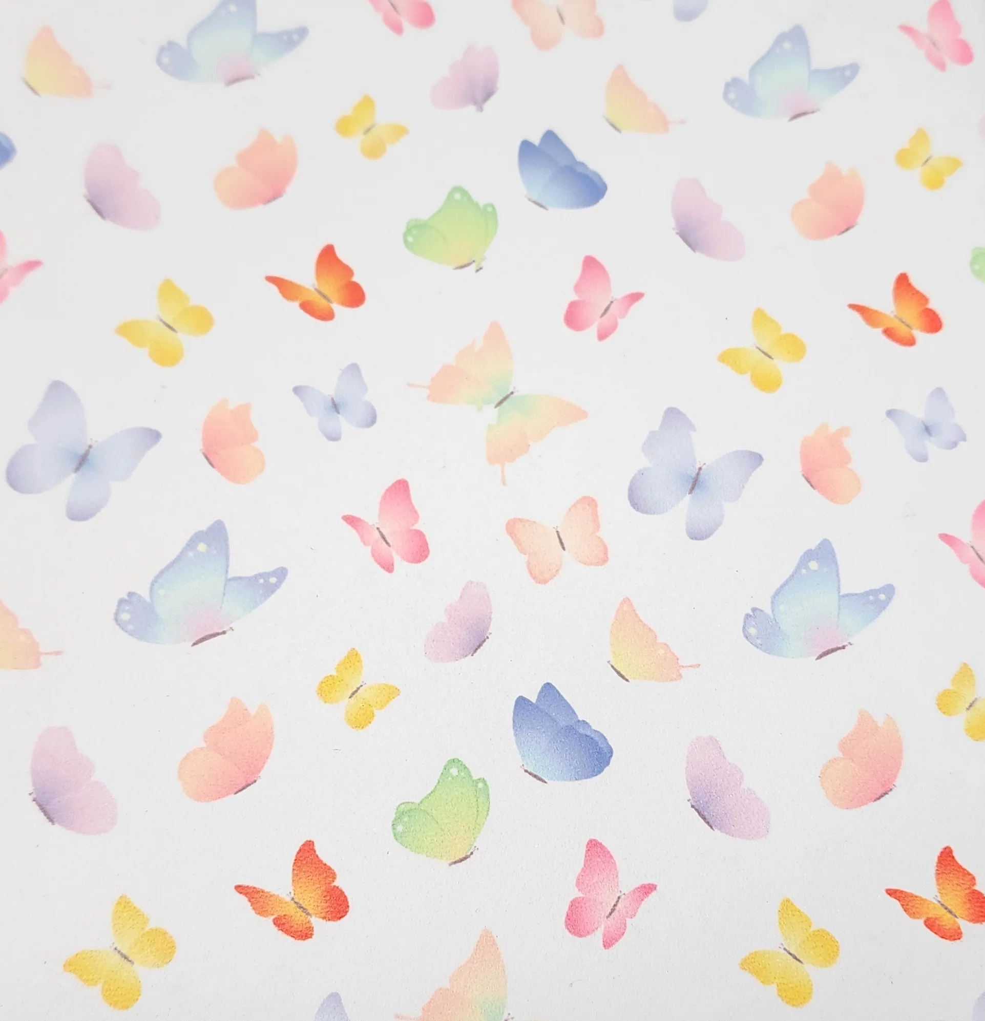 Product image 101